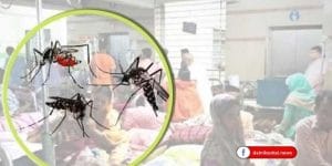 কক্সবাজারে বিনা চিকিৎসায় কাতরাচ্ছে ৬ হাজার ডেঙ্গু রোগী, মৃত্যু ৫