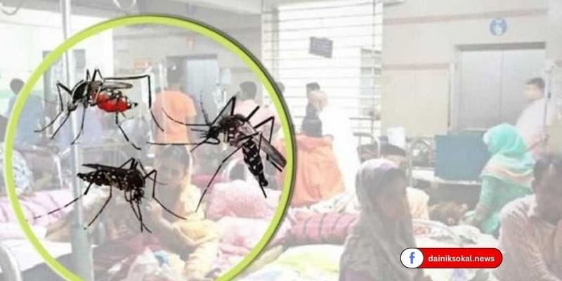 কক্সবাজারে বিনা চিকিৎসায় কাতরাচ্ছে ৬ হাজার ডেঙ্গু রোগী, মৃত্যু ৫