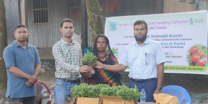 ব্রহ্মপুত্র চরে কৃষি প্রশিক্ষণ এবং সব্জির বীজ ও চারা বিতরণ