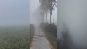 ঘন কুয়াশার চাদরে ঢাকা পড়ছে ডোমারের জনপদ