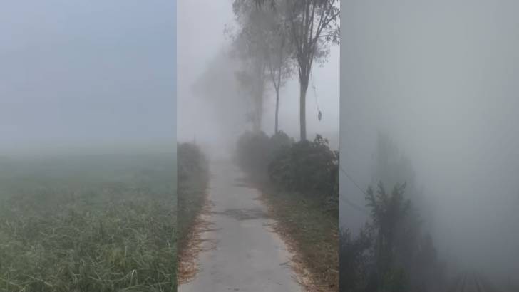 ঘন কুয়াশার চাদরে ঢাকা পড়ছে ডোমারের জনপদ
