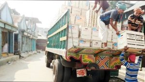 ৫০ কেজির বাক্স আলুর বীজ ২৫ হাজার টাকা