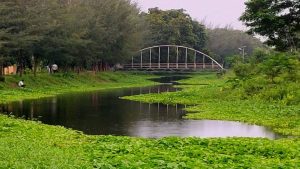 ইবি মফিজ লেকের নাম হবে ‘মীর মুগ্ধ সরোবর'- ইবি ভিসি