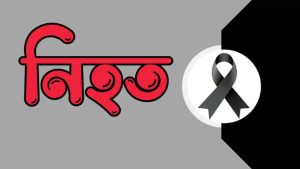 তালায় ছেলের হাতে মায়ের মৃত্যু