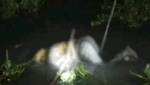 ভোলায় হাত-পা বাঁধা যুবকের মরদেহ উদ্ধার