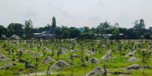 মুন্সীগঞ্জে পূর্ব শত্রুতার জেরে ৮ লক্ষ ৮২ হাজার টাকার গাছ মেরে ফেলার অভিযোগ