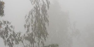 নীলফামারীতে শীত ও কুয়াশার দাপট , কুয়াশার চাদরে ঢাকা চারপাশ