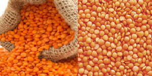 ৯৬ কোটি টাকায় ১০ হাজার টন মসুর ডাল কিনবে সরকার