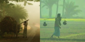 নতুন বছরের শুরুতে শৈত্যপ্রবাহের আভাস