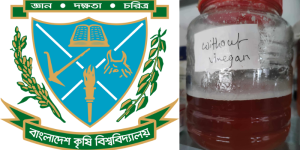 বন্য খেজুর থেকে ভিনেগার উৎপাদন করেছেন বাকৃবির গবেষকদল 