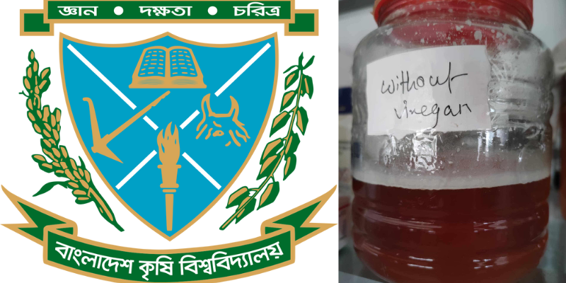বন্য খেজুর থেকে ভিনেগার উৎপাদন করেছেন বাকৃবির গবেষকদল 