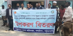 পটুয়াখালীর গলাচিপায় ৩২জন জেলের মাঝে বকনা বাছুর বিতরণ