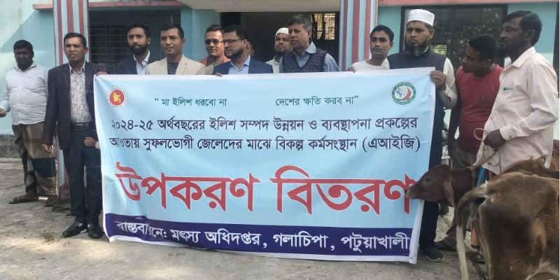 পটুয়াখালীর গলাচিপায় ৩২জন জেলের মাঝে বকনা বাছুর বিতরণ