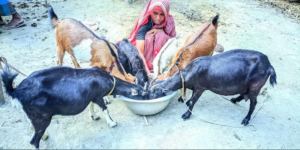 রৌমারীতে বাল্য বিবাহ মুক্ত ও হতদরিদ্র পরিবারের পাশে