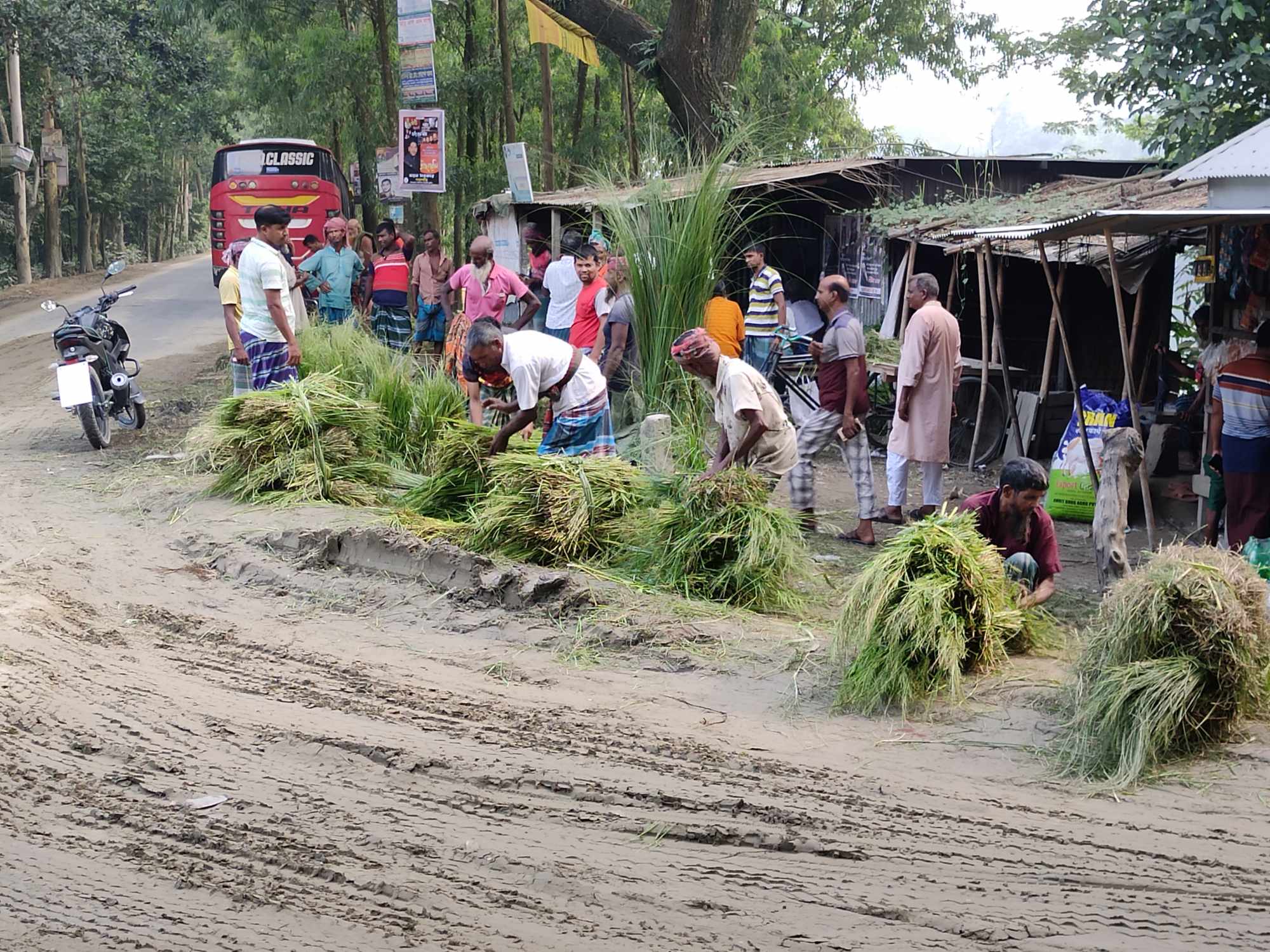 ঘাস বিক্রি করে জীবিকা নির্বাহ