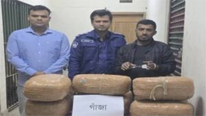 ফতুল্লায় ২০ লাখ টাকার গাঁজাসহ মাদক ব্যবসায়ী গ্রেফতার