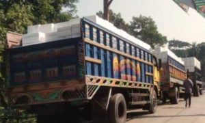 ব্রাহ্মণবাড়িয়ার আখাউড়া স্থলবন্দর দিয়ে মাছ রপ্তানি