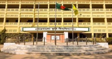 শেকৃবির ভর্তি পরীক্ষায় কোটাব্যবস্থায় বড় পরিবর্তন, পোষ্য কোটা বাতিল