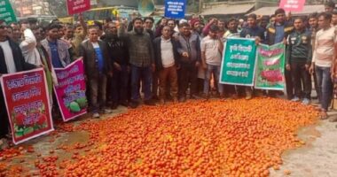 নাটোরে টমেটো ফেলে সড়ক অবরোধ