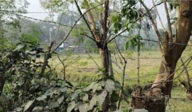 সাতক্ষীরা সিমান্তে বিএসএফর ৪ রাউন্ড ফাঁকা গুলি