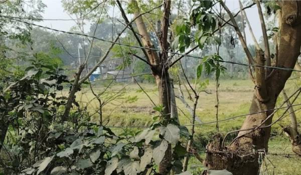সাতক্ষীরা সিমান্তে বিএসএফর ৪ রাউন্ড ফাঁকা গুলি