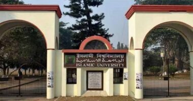 নিষিদ্ধ সংগঠনকে সহযোগিতার সম্পৃক্ততা পেলে ব্যবস্থা নিবে ইবি