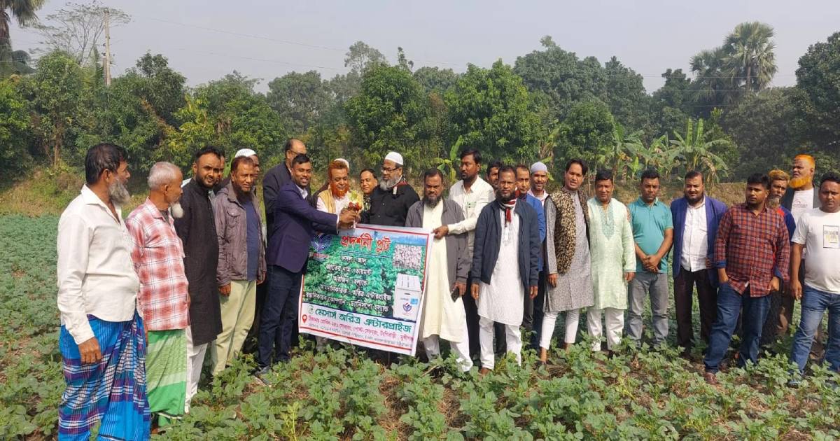 টঙ্গীবাড়ীতে বীজ আলুর জমি পদর্শণী