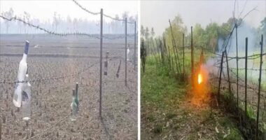 সীমান্তে কাঁটাতারে বিএসএফের কাচের বোতল ঝুলানোর কারণ কী?