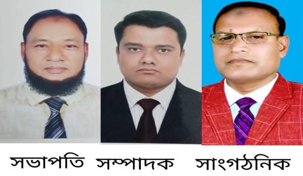 কুমিল্লা পেশাজীবী সাংবাদিক সোসাইটি’র নতুন কমিটি গঠন