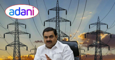 প্রায় ৪০ কোটি ডলার কর ফাঁকি দিয়েছে ভারতের আদানি পাওয়ার