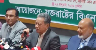 হাসিনার পতনে প্রবাসীদের অনেক ত্যাগ রয়েছে : আমীর খসরু