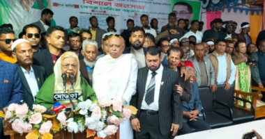 প্রতিটি ক্রান্তিলগ্নে বিএনপি দেশের হাল ধরেছে: সেলিমা রহমান