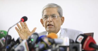 ফ্যাসিবাদবিরোধীরা পরস্পর আঘাত করে কথা বলবে না : ফখরুল