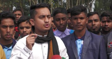 তরুণদের চিন্তাভাবনাকে রাজনীতিবিদরা হুমকি মনে করছে : সারজিস