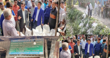 ভেজাল টিএসপি সার ও ভেজাল কীটনাশক জব্দ