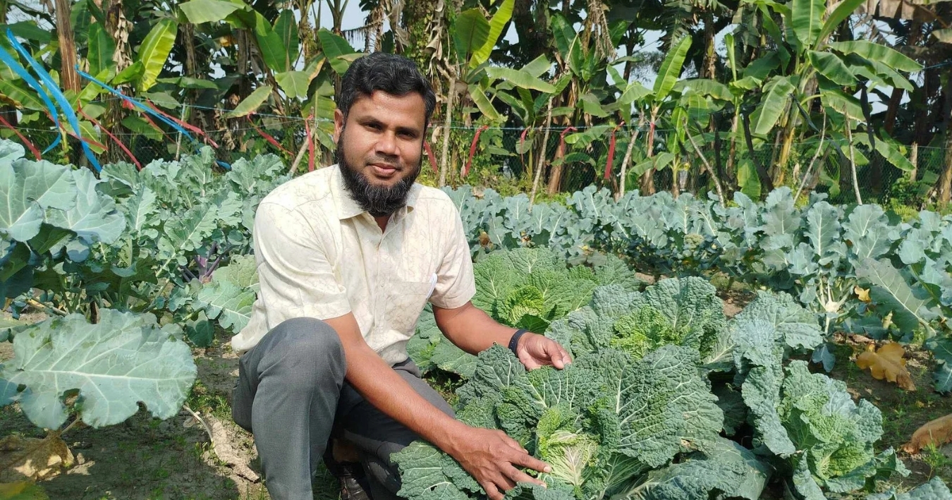 ইউরোপীয় রঙিন সবজির নতুন জাত উন্নয়নে কাজ করছে বাকৃবি অধ্যাপক ড. হারুন