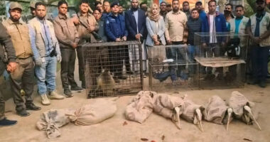 দিনাজপুরের সাবেক এমপি শিবলী সাদিকের "স্বপ্নপুরী পার্ক" থেকে ৭৪টি বন্যপ্রাণী জব্দ