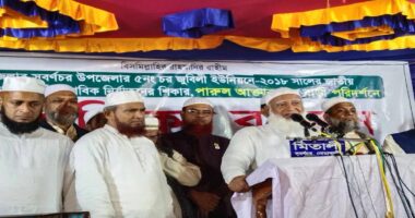 ধানের শীষে ভোট দিয়ে নির্যাতিত, পারুলের পাশে জামায়াত আমীর