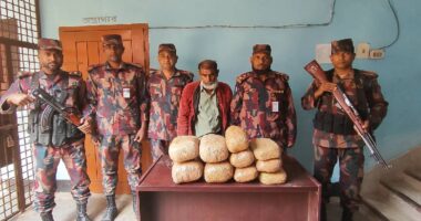 মেহেরপুরে ১৪ কেজি গাঁজাসহ এক চোরাচালানী আটক