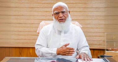 বিএনপি সত্যিই আমাদের বিপক্ষে? – প্রশ্ন জামায়াত আমিরের