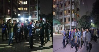আ. লীগের লিফলেটসহ শিক্ষা ক্যাডার আটক, শেকৃবিতে চাঞ্চল্য