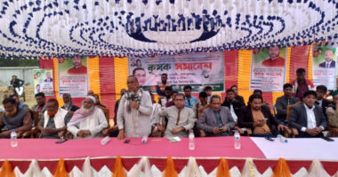 ঘাটাইলে কৃষকদের উদ্যোগে কৃষক সমাবেশ অনুষ্ঠিত