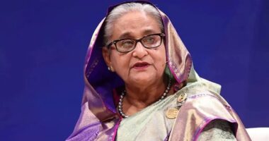 শেখ হাসিনাকে ফেরাতে প্রয়োজনীয় কাগজপত্র দিল্লিকে পাঠিয়েছে ঢাকা