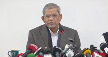 বিগত ১৭ বছরের সব গণহত্যার জন্য শেখ হাসিনাই দায়ী : মির্জা ফখরুল