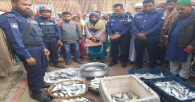 মুন্সীগঞ্জে আড়তে অভিযান চালিয়ে ৩০০ কেজি জাটকা জব্দ