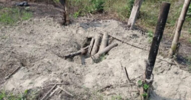 মুন্সীগঞ্জে কবরস্থান থেকে আরও ৬ কঙ্কাল চুরি