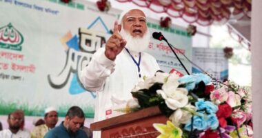 আমাদের ধৈর্যের পরীক্ষা নিবেন না, আমরা ভদ্র, কিন্তু বোকা নই : জামায়াত আমির