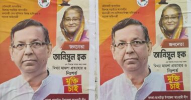 রাতের আঁধারে সাবেক আইনমন্ত্রী আনিসুল হকের মুক্তি চেয়ে পোস্টার