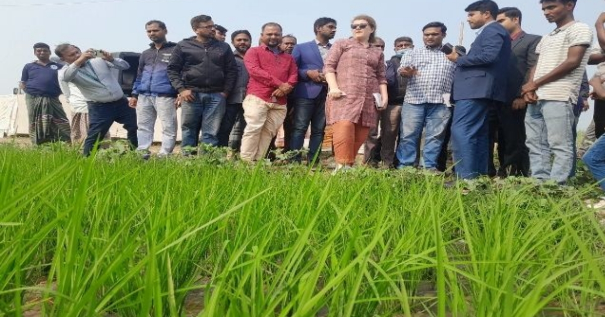 হালতিবিলে কৃষিজমি পরিদর্শন করলেন মার্কিন দূতাবাসের প্রতিনিধি দল
