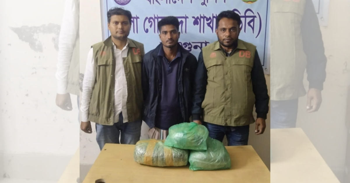 ৫ কেজি গাঁজাসহ আমতলীতে মাদক বিক্রেতা গ্রেপ্তার